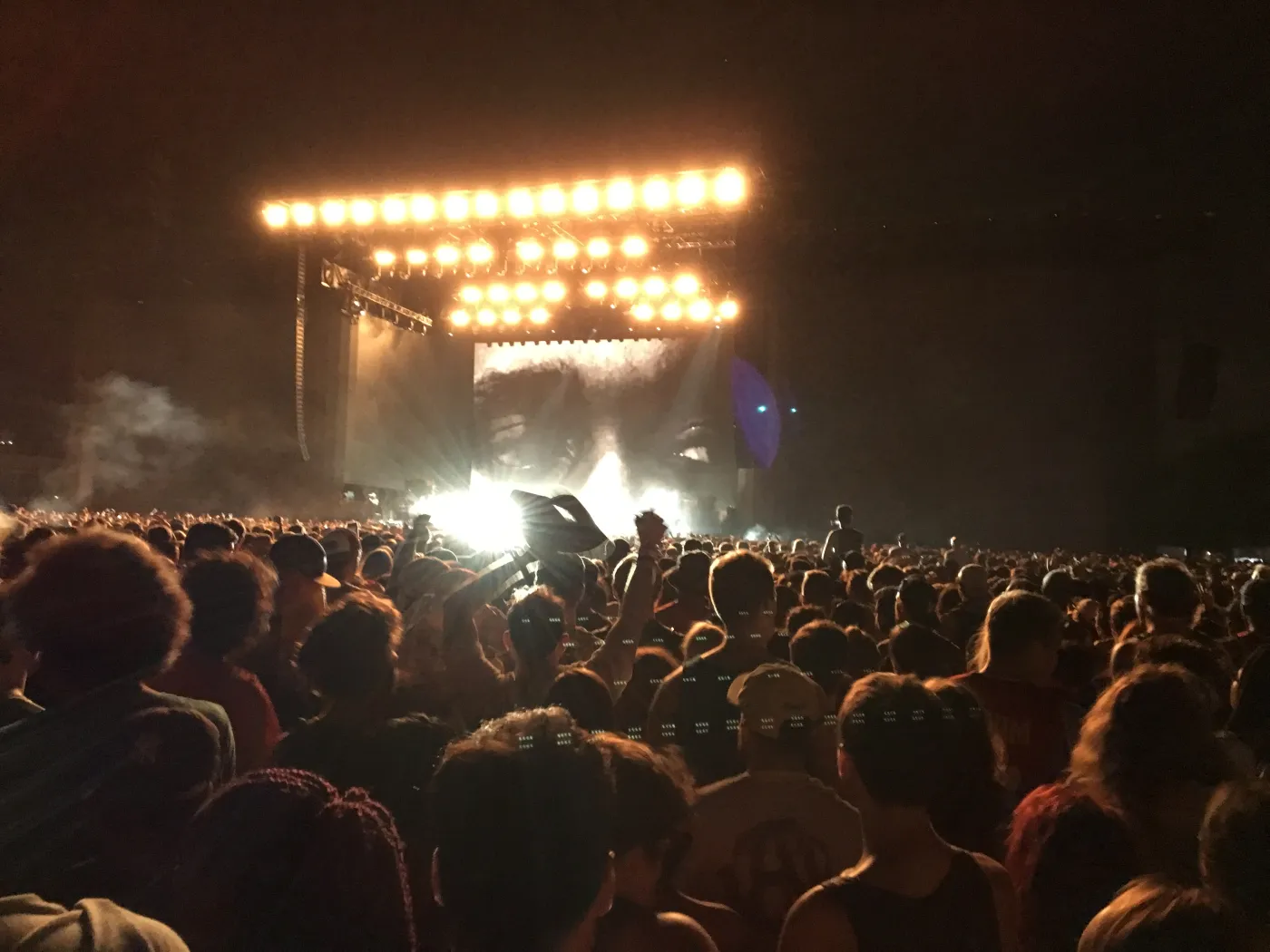 The Panorama Festival crowd on Randall's Island, New York, 2016